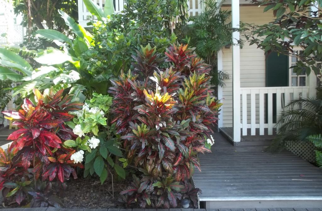 Duval House Bed and Breakfast Key West Eksteriør billede